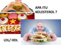makanan kolesterol tinggi